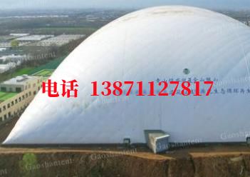 豆河镇气膜棚卷帘门,电动门